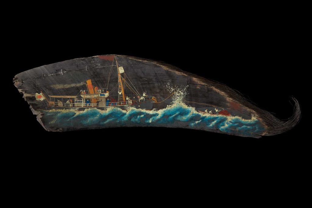 Whaling painting on baleen